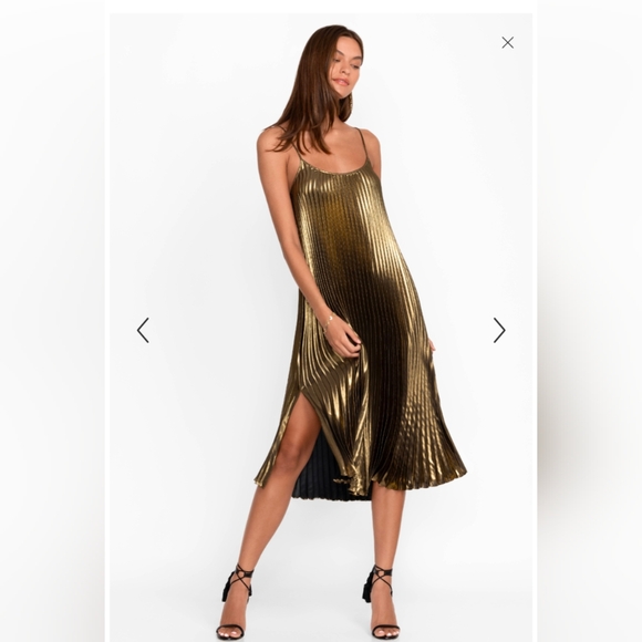 Johnny Was Dresses & Skirts - Johnny Was Golden Gem Pleated Midi Dress